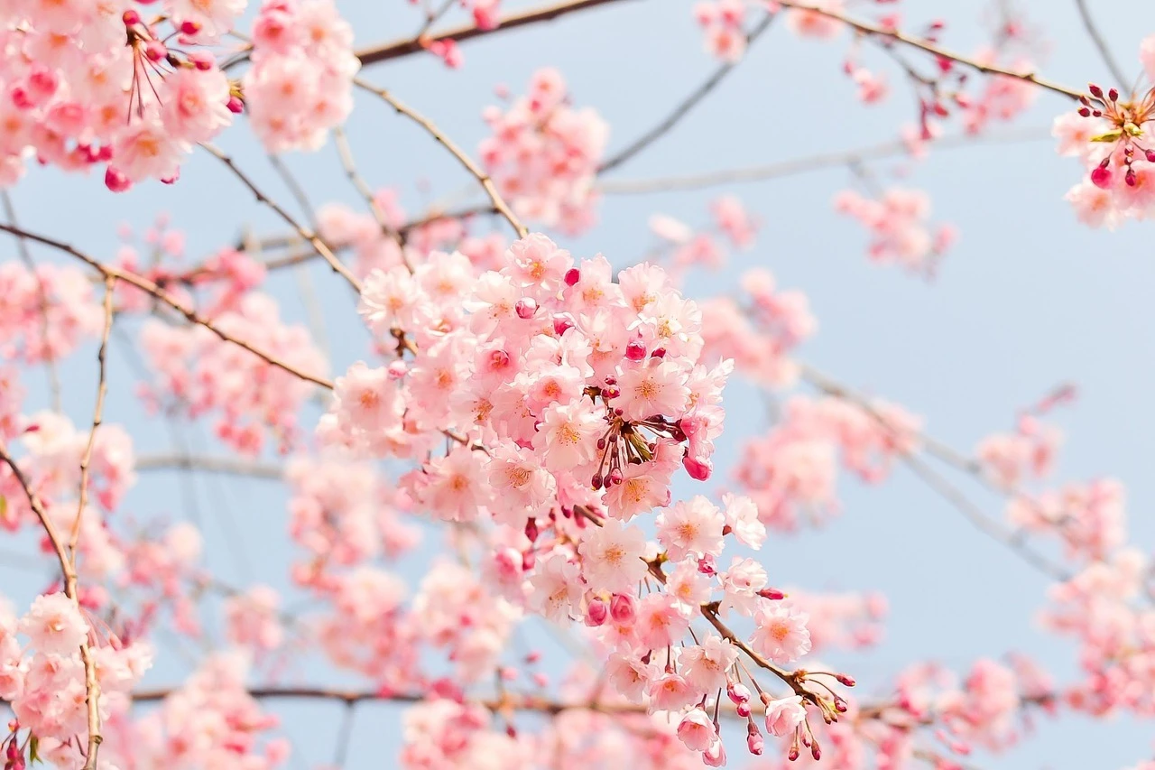 年度末の疲れを鍼灸で癒す。