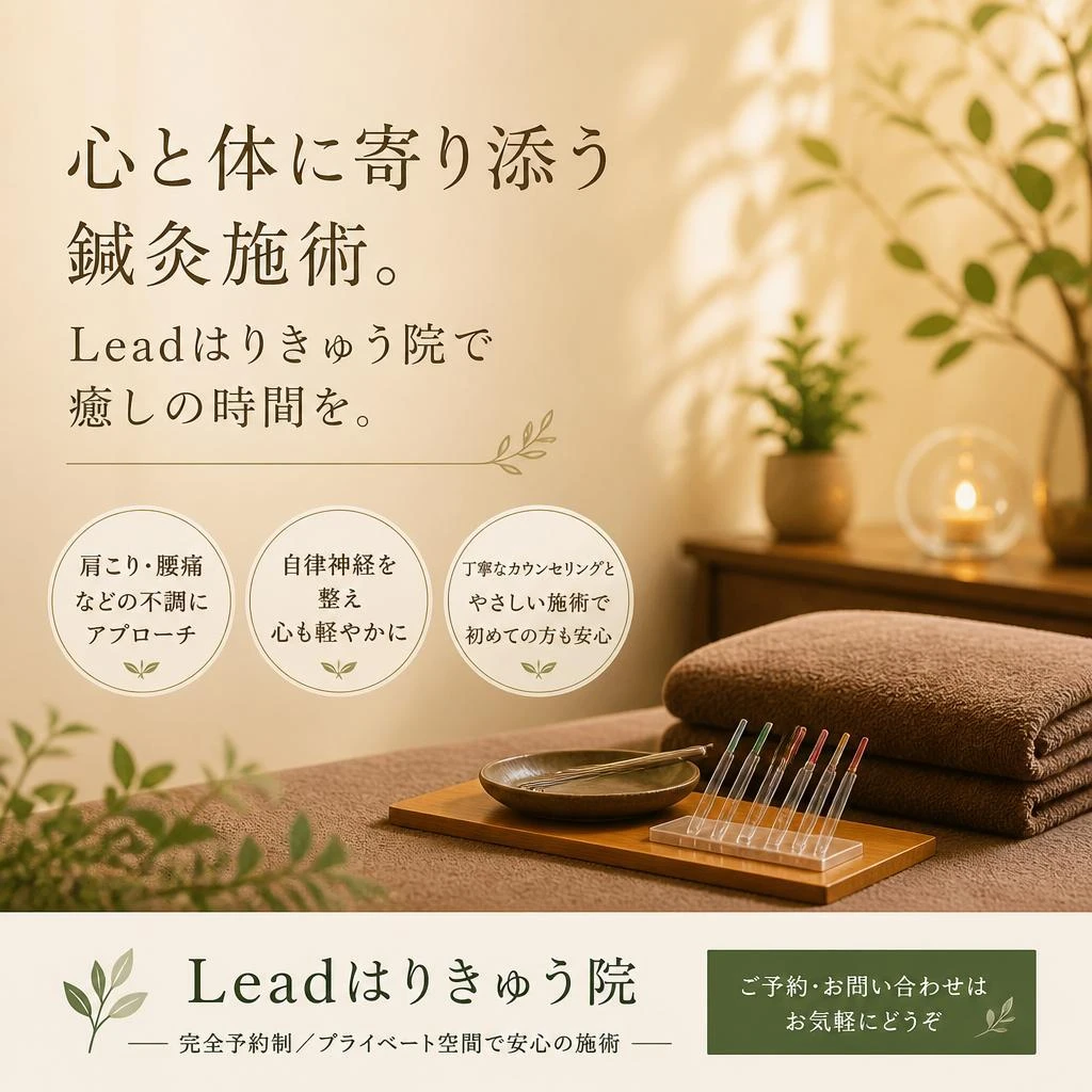 心と体に寄り添う鍼灸施術。Leadはりきゅう院で癒しの時間を。