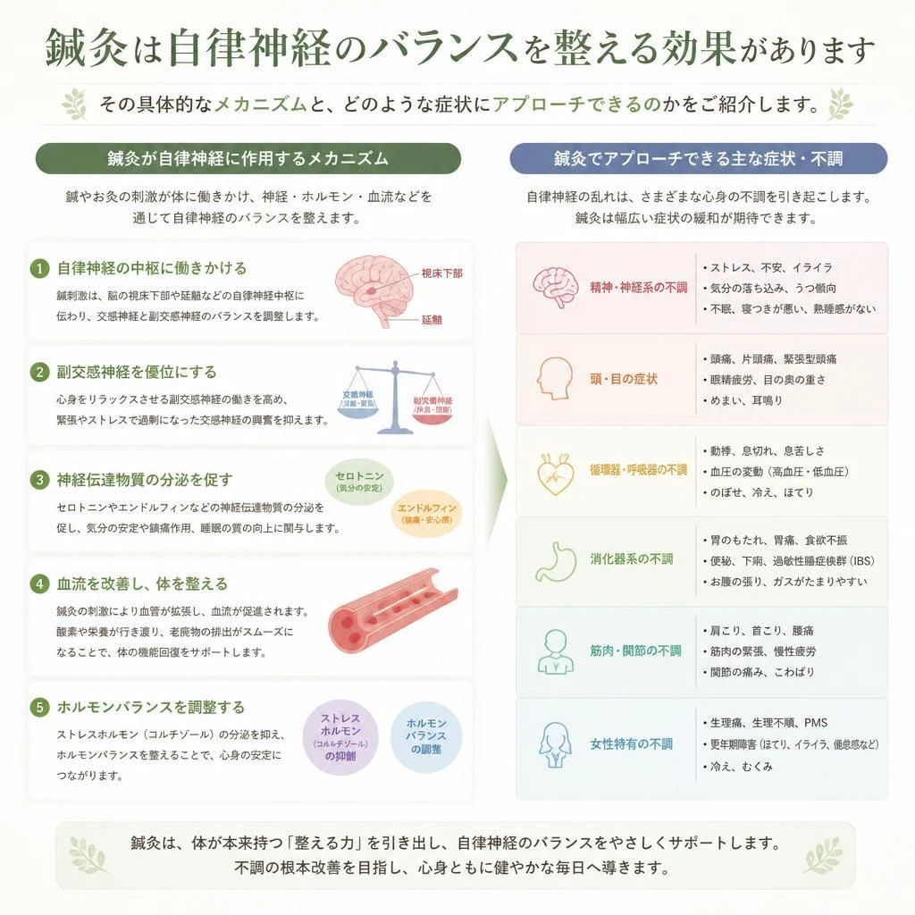 自律神経を整える鍼灸のメカニズム