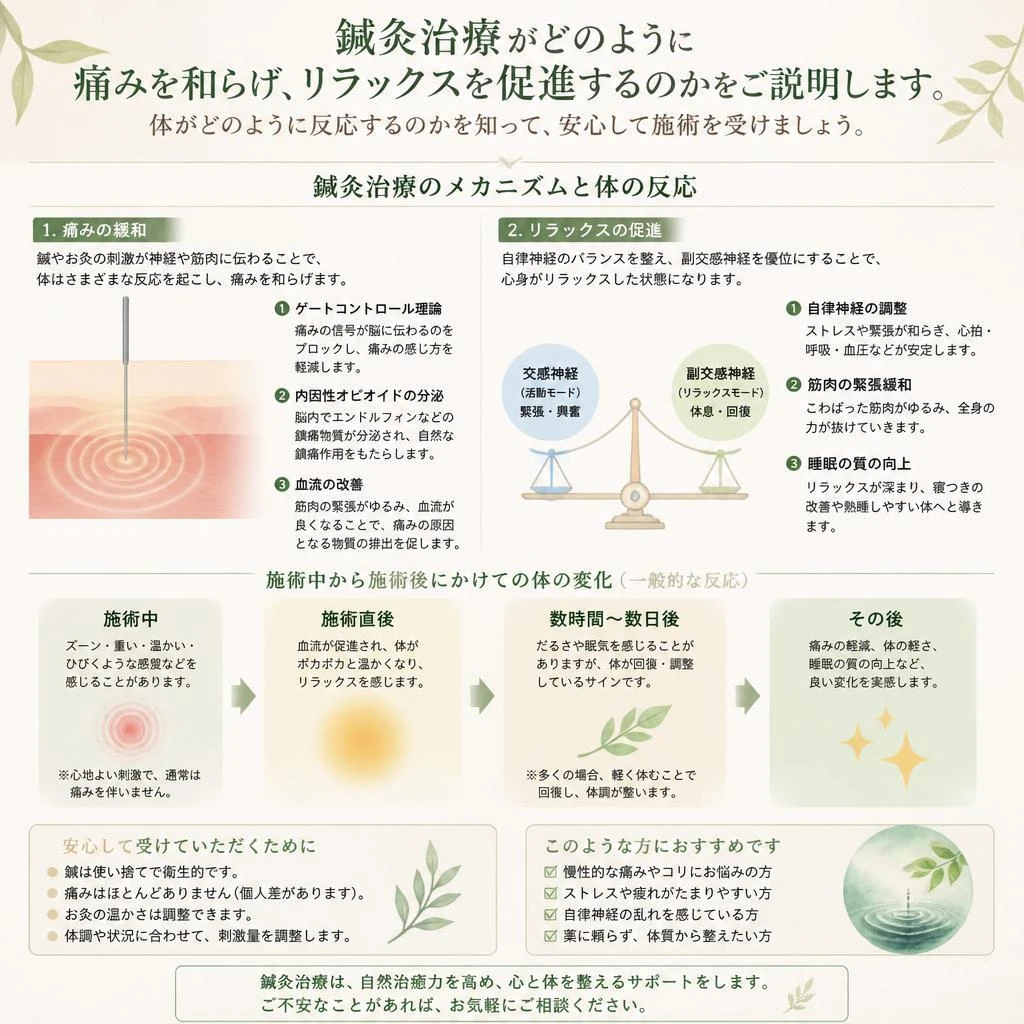 二、鍼灸の基本とその効果